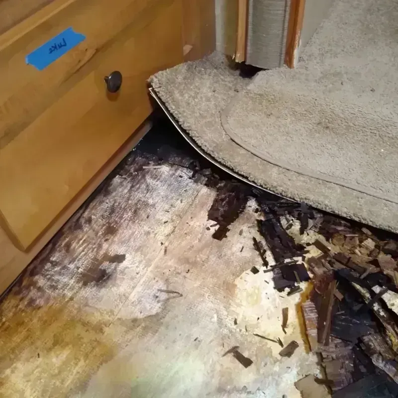 Wood Floor Water Damage in Bradley Beach, NJ